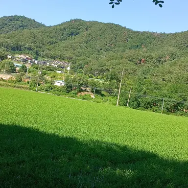Profile image of 경또