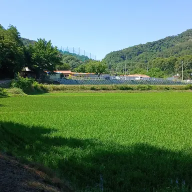 Profile image of 얼음공주
