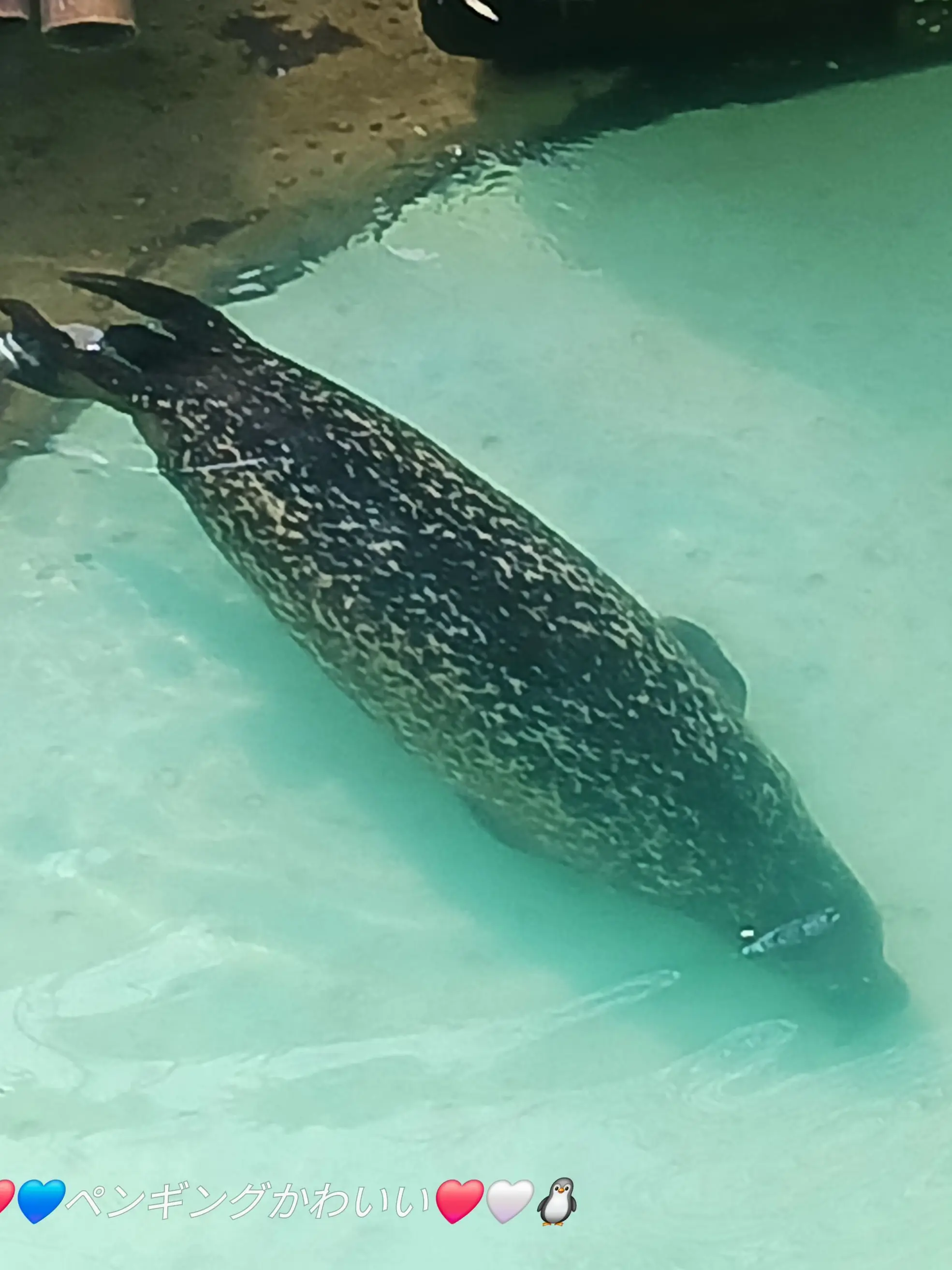 Fursher의 오 이런...