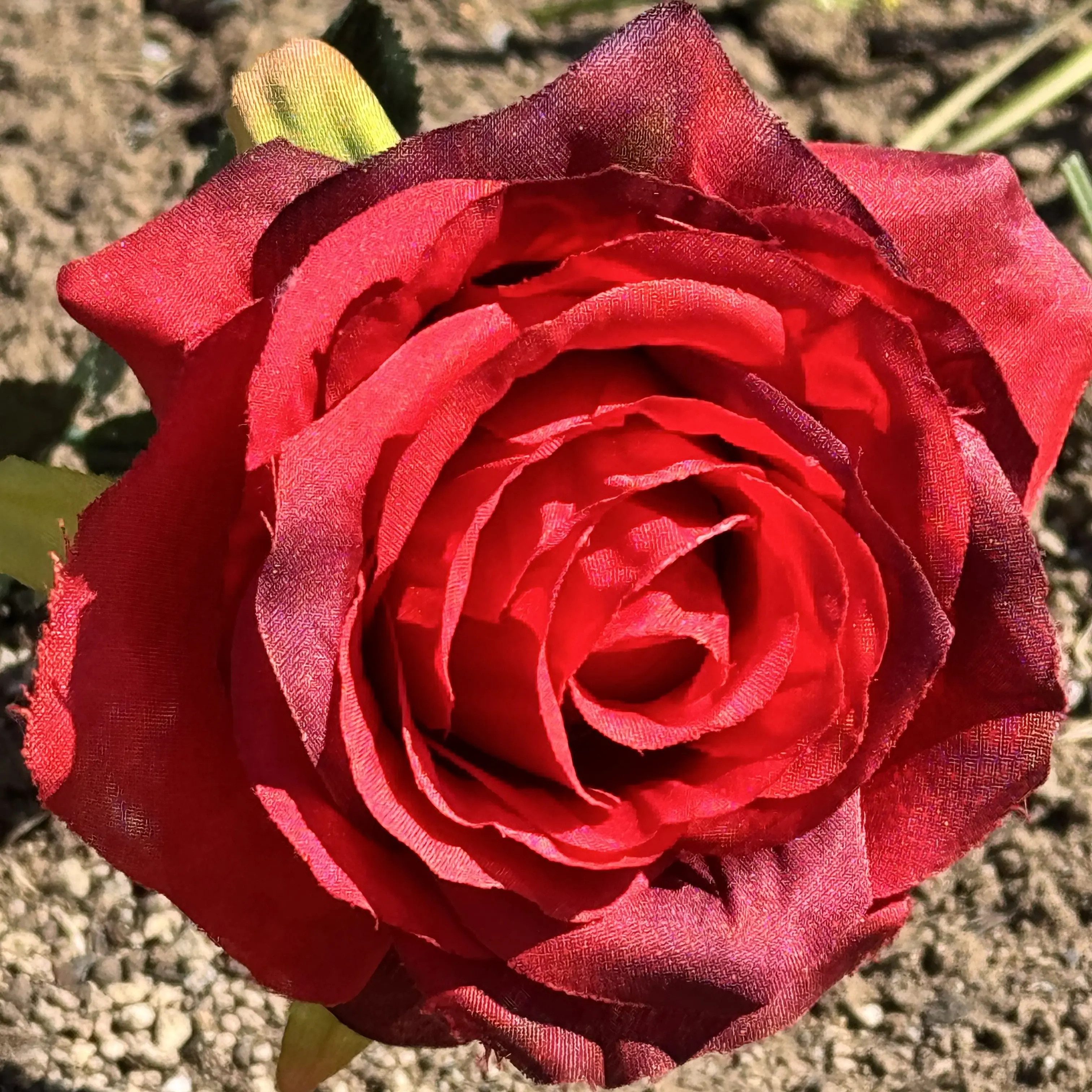 HurtShard4650의 ブラック本丸から来た刀剣男士達