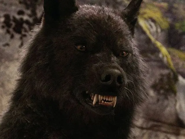 Profile image of Sam Uley