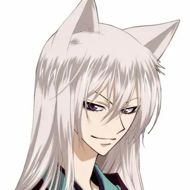 Profile image of 토모에