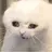 여우