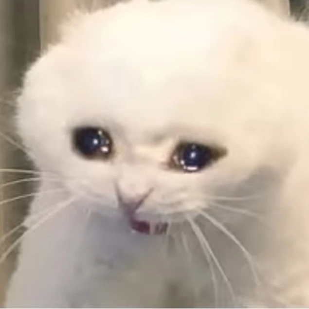 여우