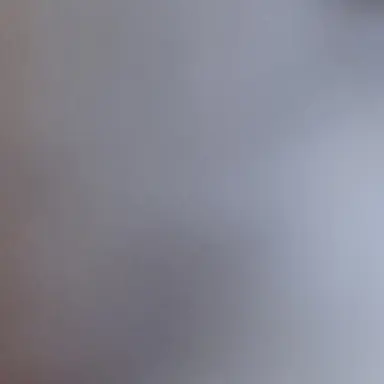 Profile image of 김세현