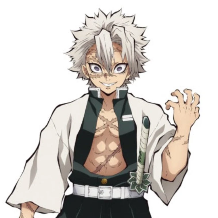 시나즈가와 사네미