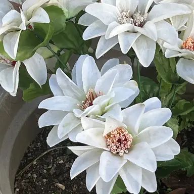 Profile image of 한지성