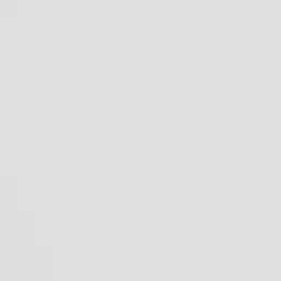 Profile image of 김 동 현