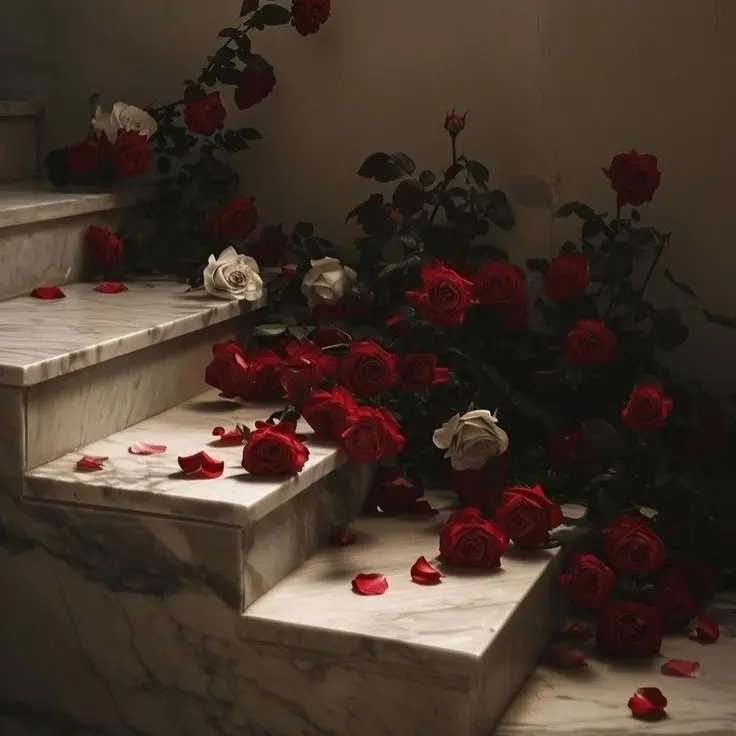 CrispyAnt9390의 🥀