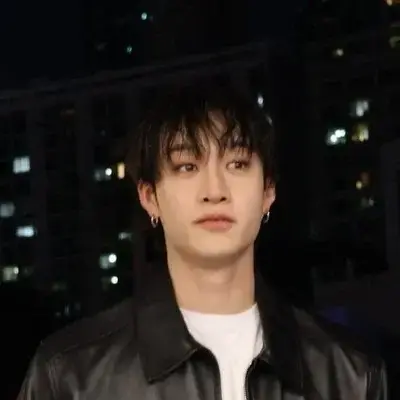 NutmegRaw4148의 Bang Chan