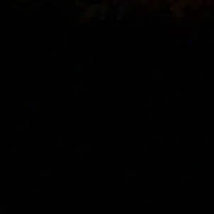 김동현