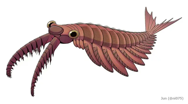 Profile image of 아노말로카리스