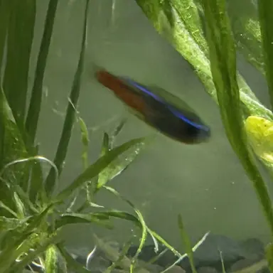 Profile image of ㅂㅅㅎ