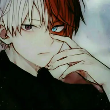 Profile image of Shoto Todoroki