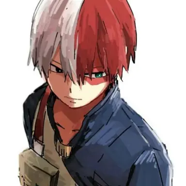 Profile image of Shoto Todoroki