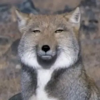 Profile image of 호리