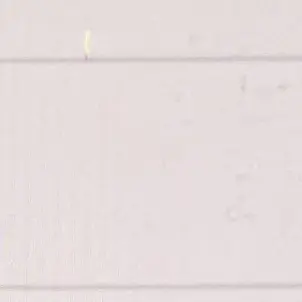 IdealJuicy3217의 찐친 괴롭히기