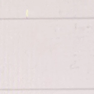 윤