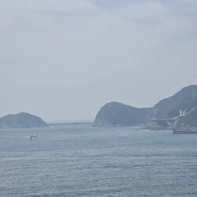 Profile image of 박세림