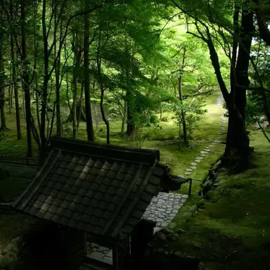 Profile image of 고토 케이스케