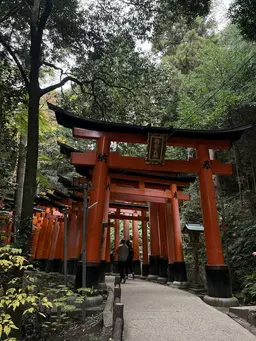 Profile image of 京都