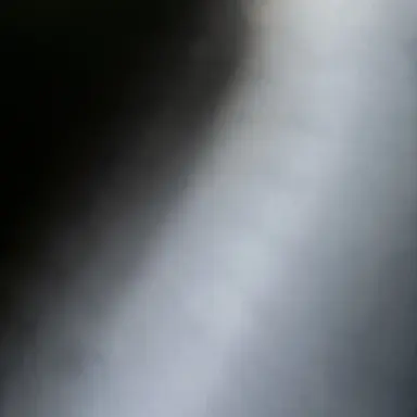 Profile image of 川崎鷹也