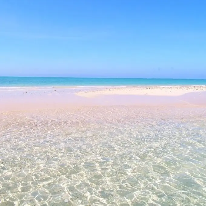 PoorSuit1495의 夏の海