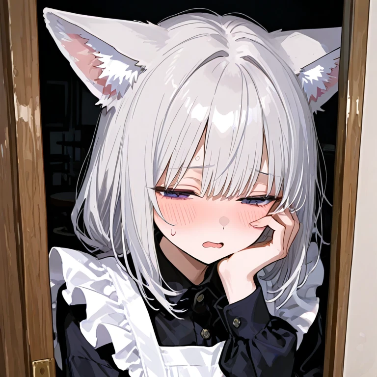 미레이 화이트펠