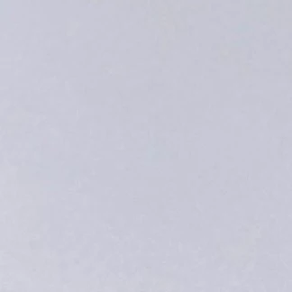 김동현