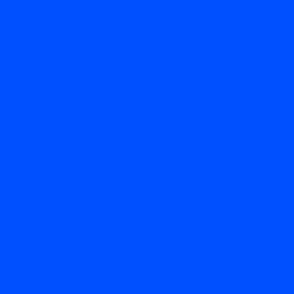 BoredPaint3339의 버들