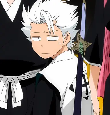 Profile image of Toshiro Hitsugaya