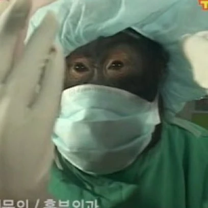 똥 꺠