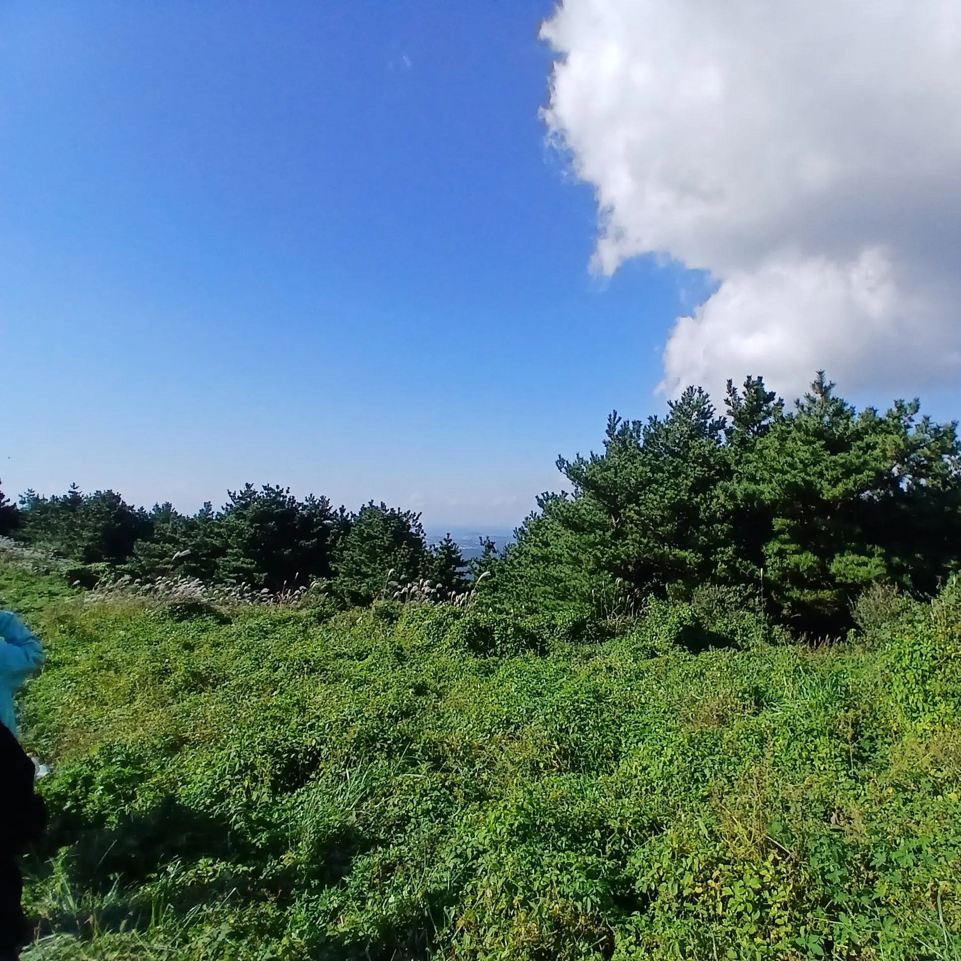 jdjdncn의 고고프렌즈+슈퍼 잼민