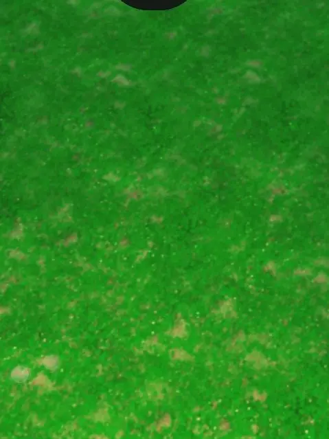 DampVeery1192의 めめあべとぶりっ子！？