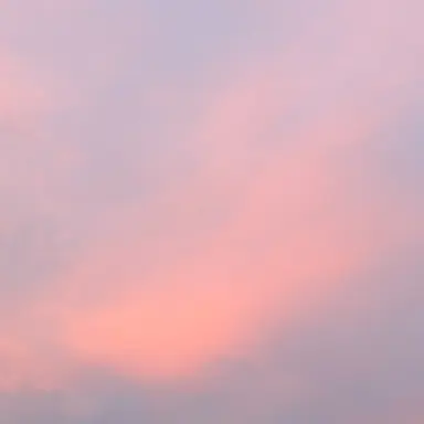 Profile image of 元貴