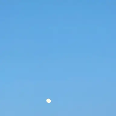 Profile image of 급식왕 학교