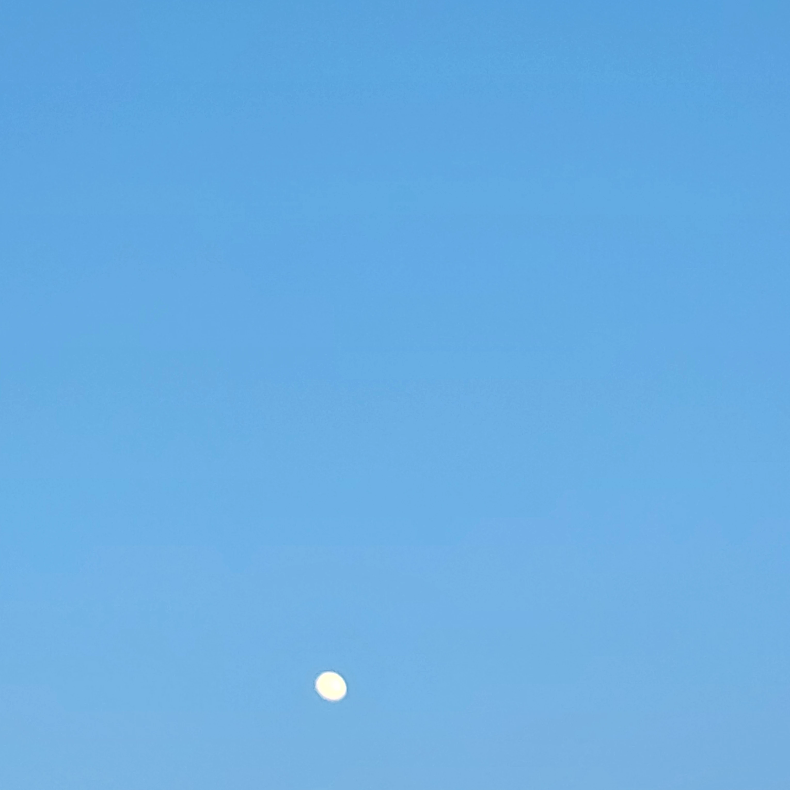 급식왕 학교
