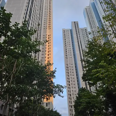 Profile image of 칸로지 미츠리