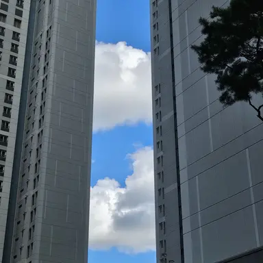 Profile image of 코쵸우 시노부