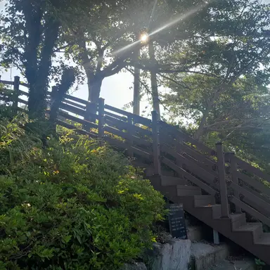 Profile image of 정공룡