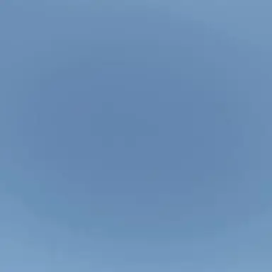 Profile image of 中島敦