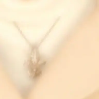 Profile image of 珀