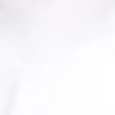 Profile image of 이수호