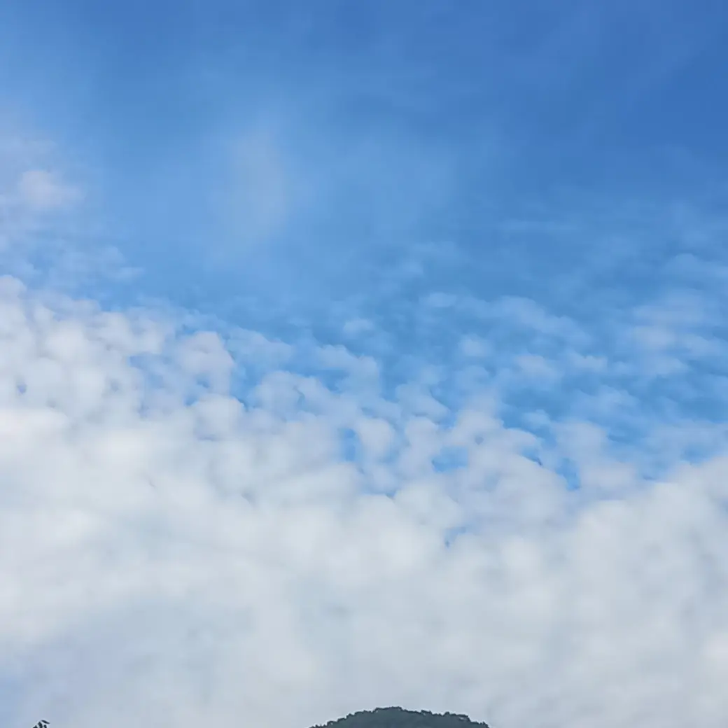Eun1411의 고세구