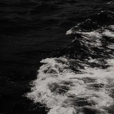 Profile image of 헤네르