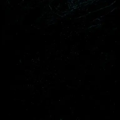 Profile image of 수아