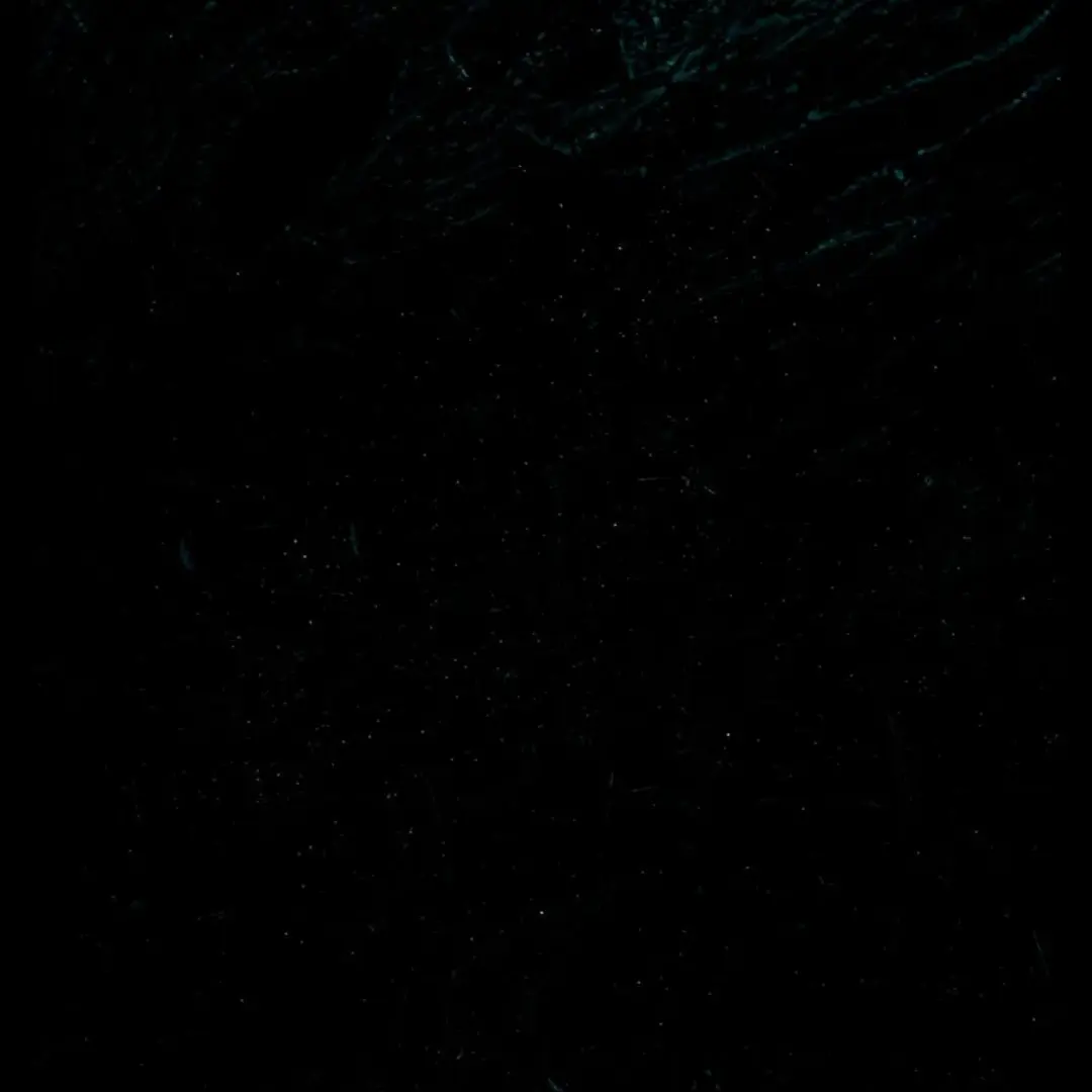 le-oindeyo의 거지의 육아