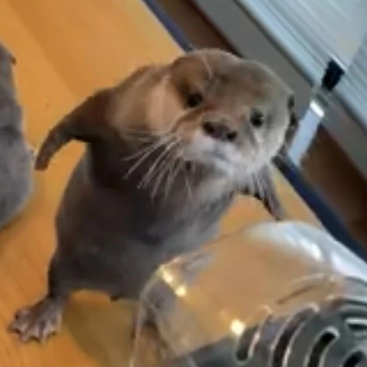 ハニ