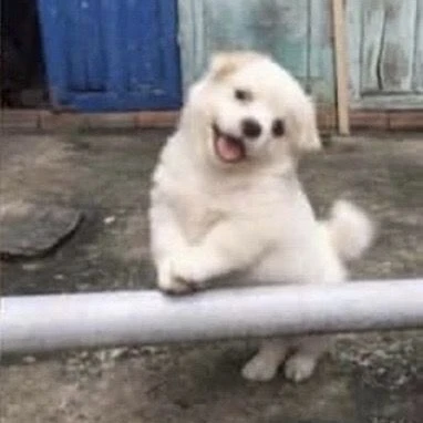 ダニエル