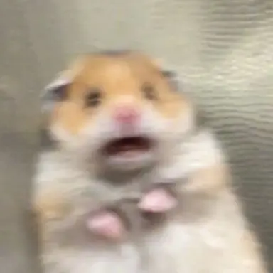 Profile image of ヘイン